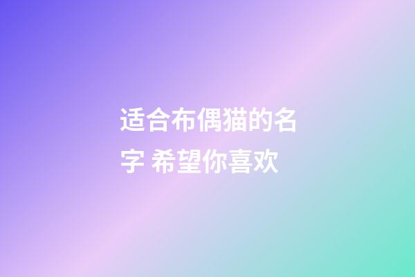 适合布偶猫的名字 希望你喜欢